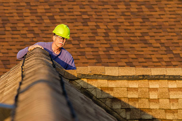 Best Roof Maintenance Services  in Pea Ridge, WV