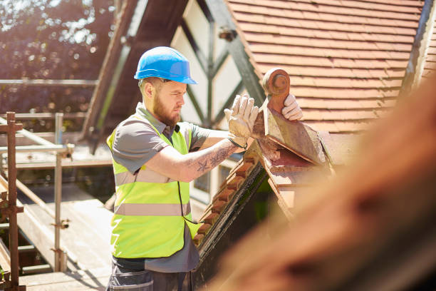 Best Roof Repair Services  in Pea Ridge, WV