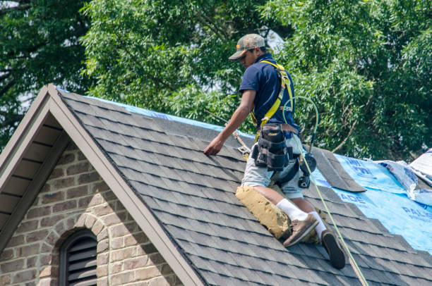 Roof Gutter Cleaning in Pea Ridge, WV